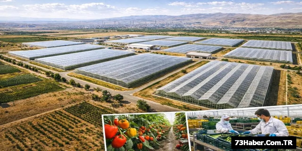 Silopi'de Tarım Devrimi