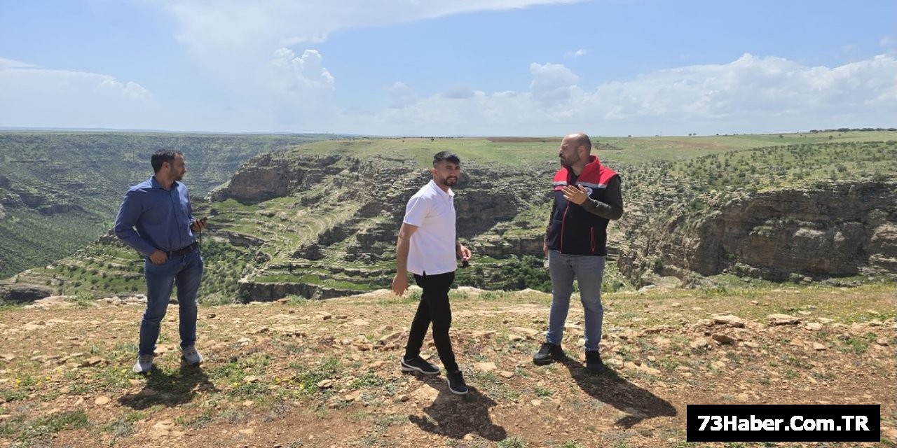 Şırnak'ın Meraları Canlanıyor