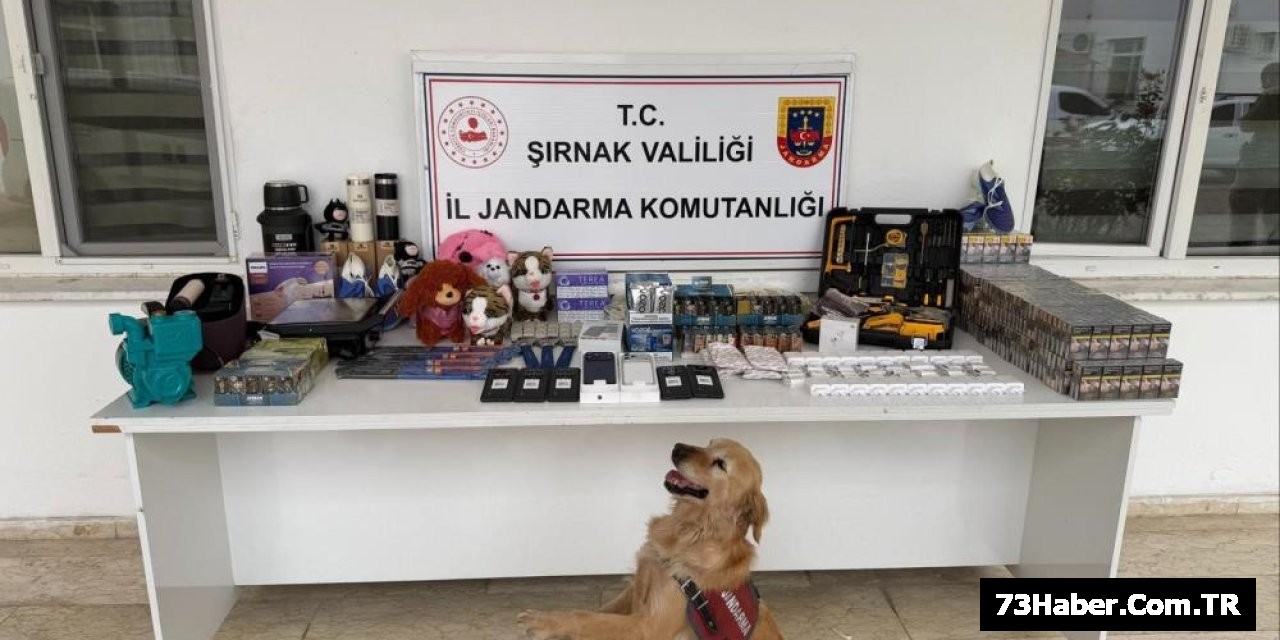 Şırnak'ta 24 Milyon TL'lik Kaçak Ele Geçirildi
