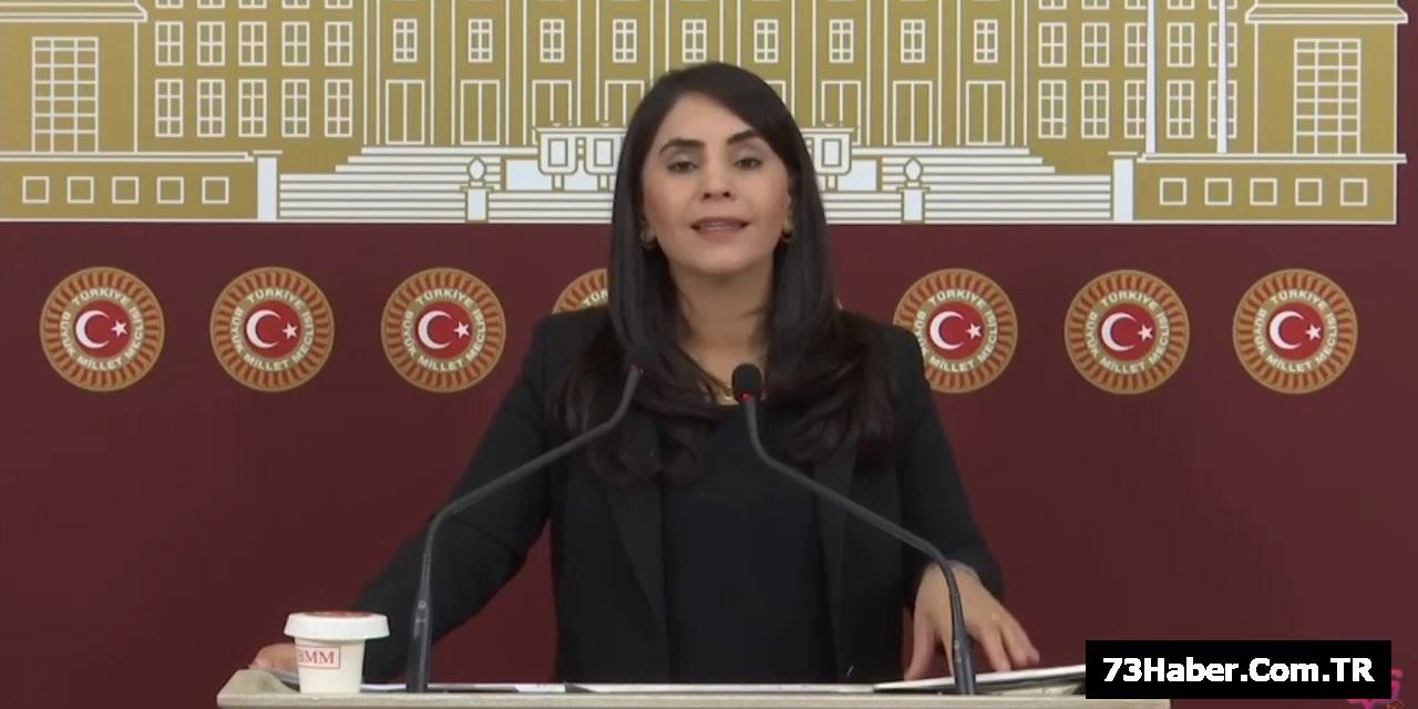 "Taziye ve Sendika Faaliyeti Soruşturma Olamaz"