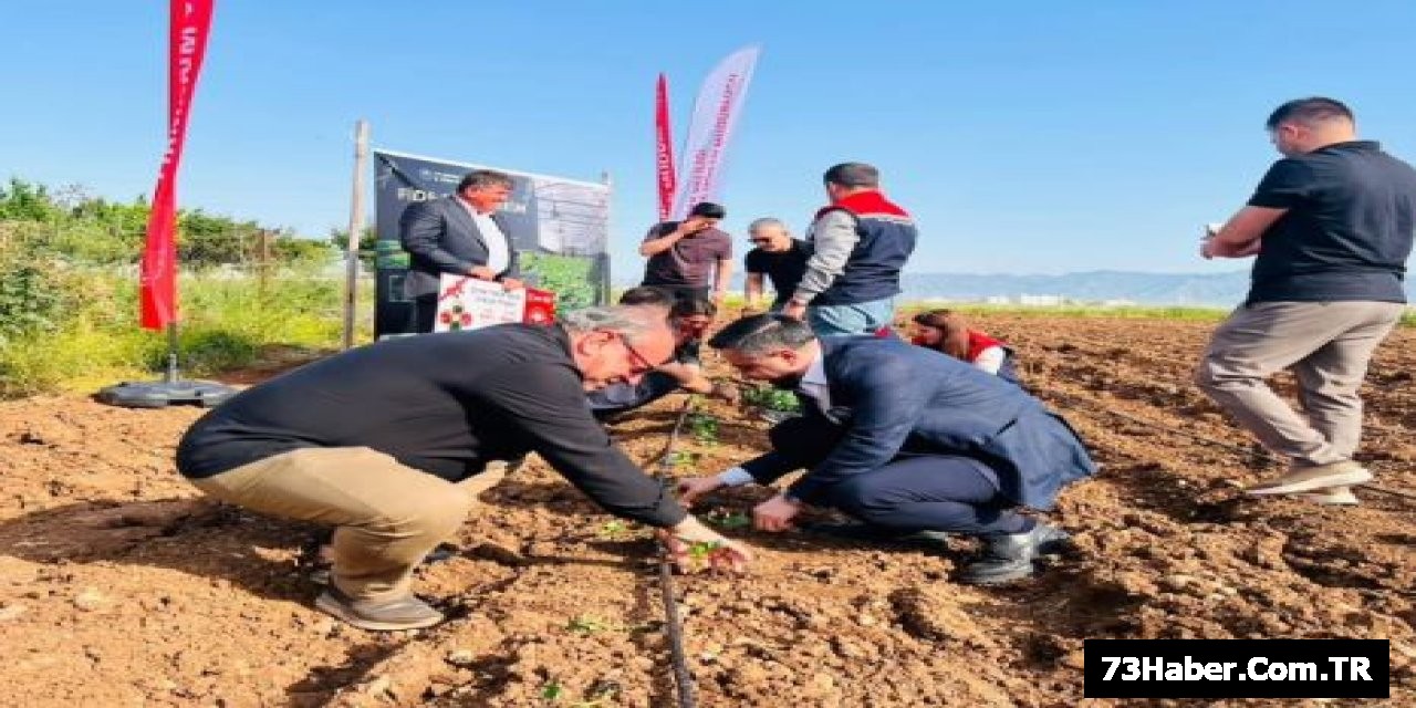Nuh'un Bahçesi Silopi'de