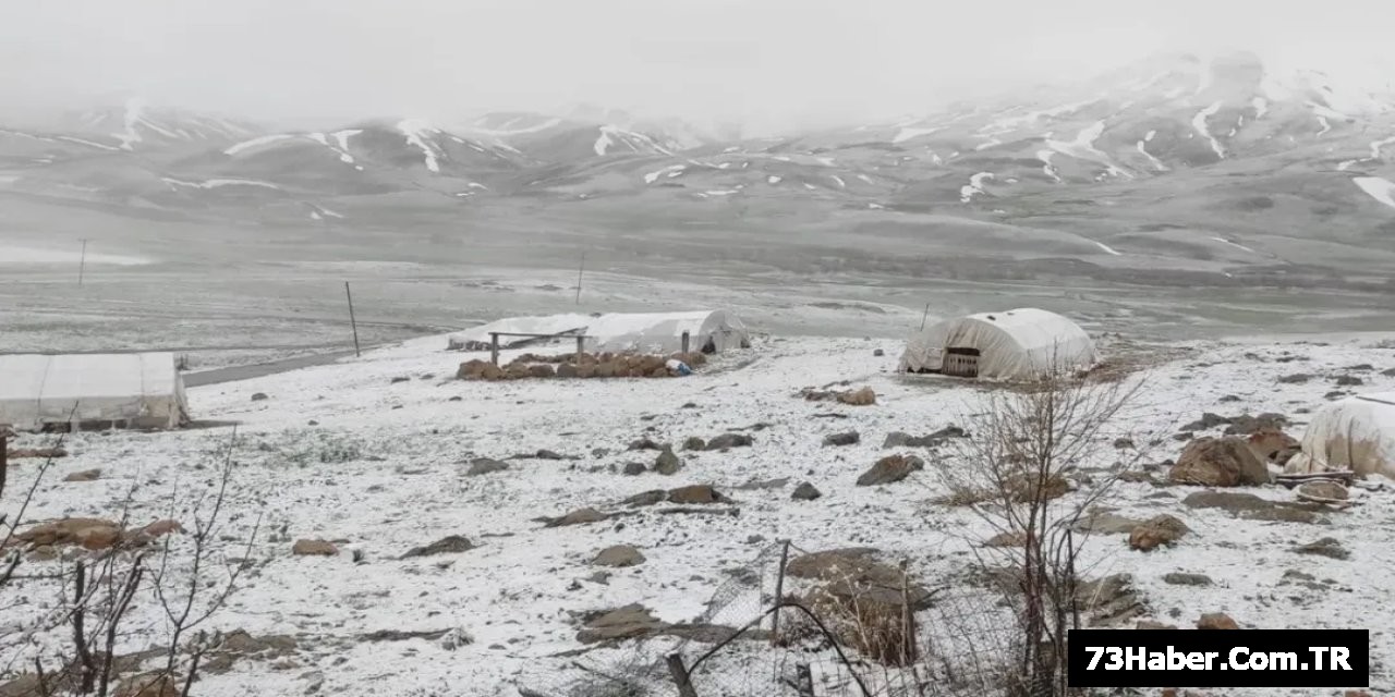 Şırnak'a Kar Yağdı!