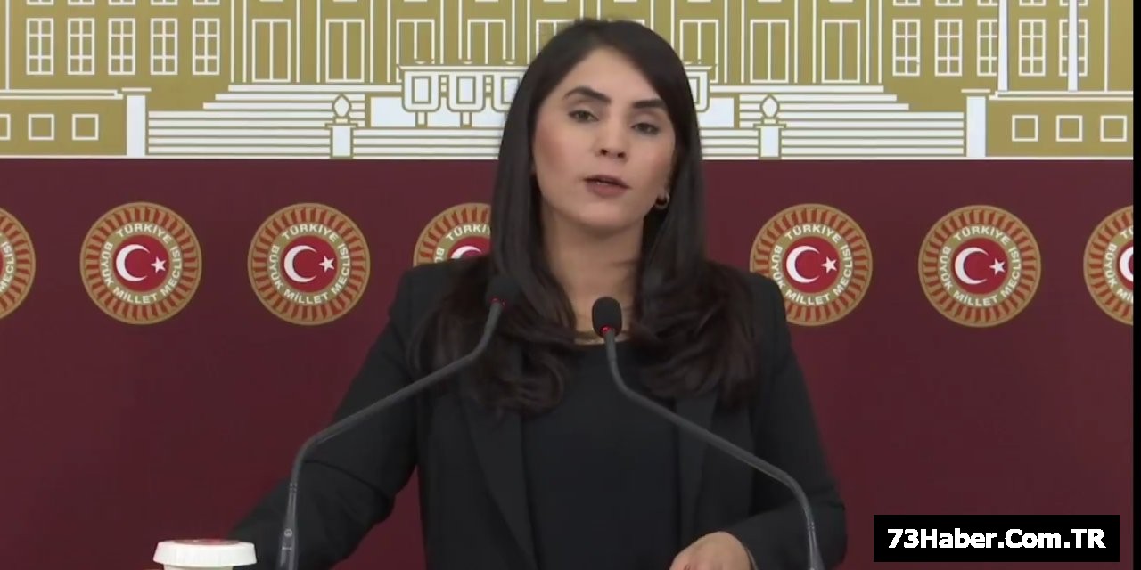 Şırnak Vekili Uysal Krize Neden Oldu