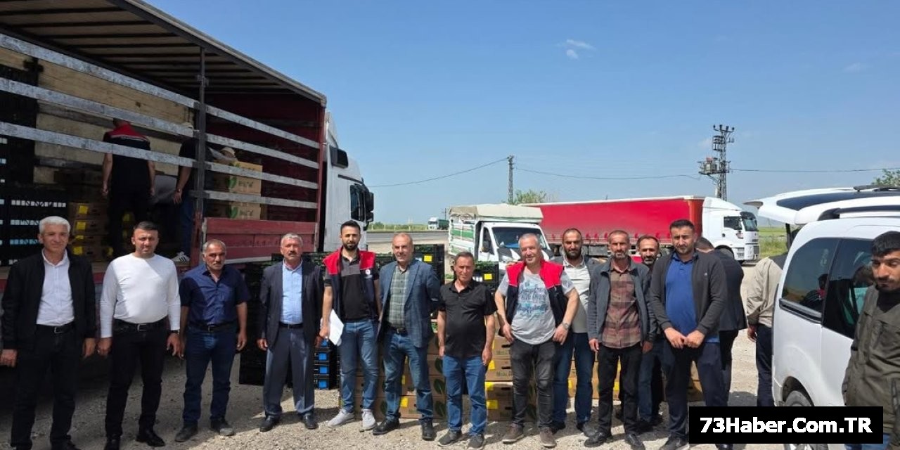 Şırnak'ta Çiftçilere Müjde!