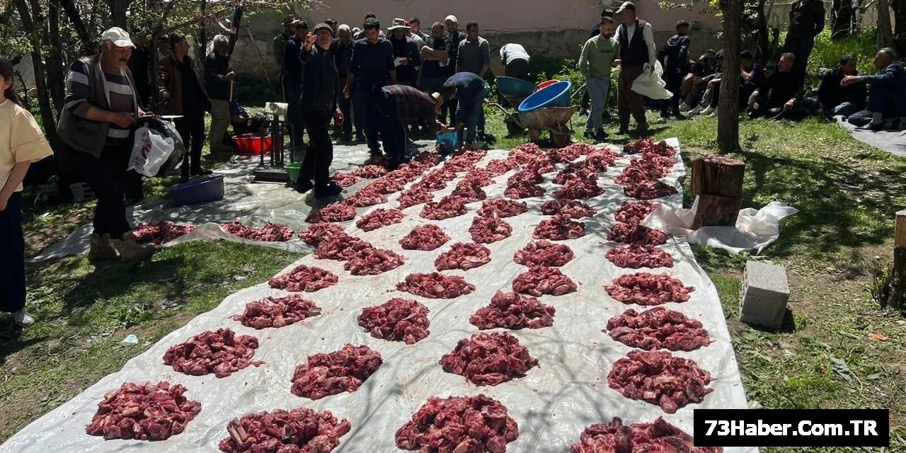 "120 Kurban Köye Dağıtıldı"