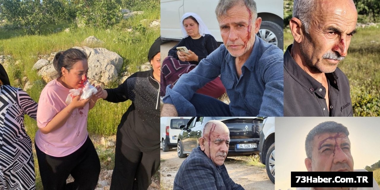 Şırnak'ta Köy Yolunda Saldırı mı?