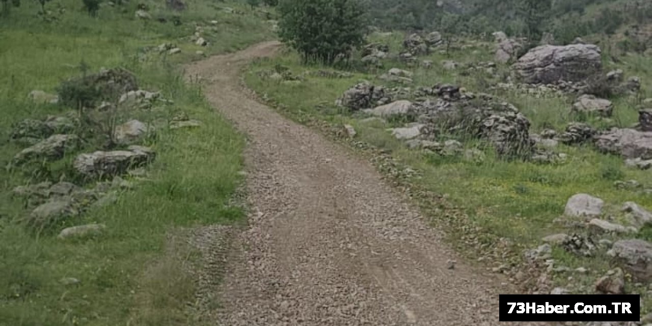 Şırnak'ta Yayla Yolları Açılıyor
