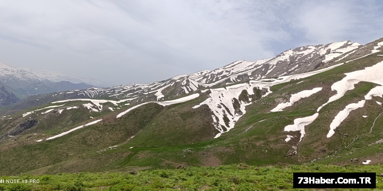 Şırnak'ta Mevsimler Karıştı!