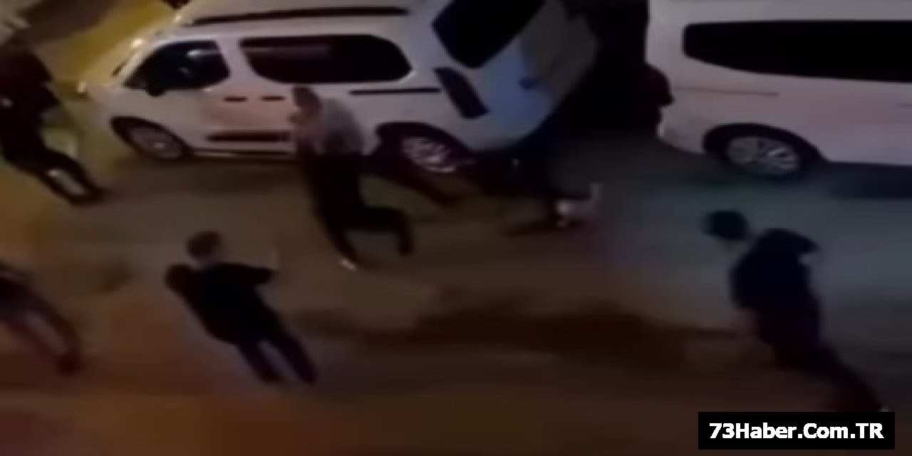 Cizre'de Kanlı Kavga: 7 Yaralı