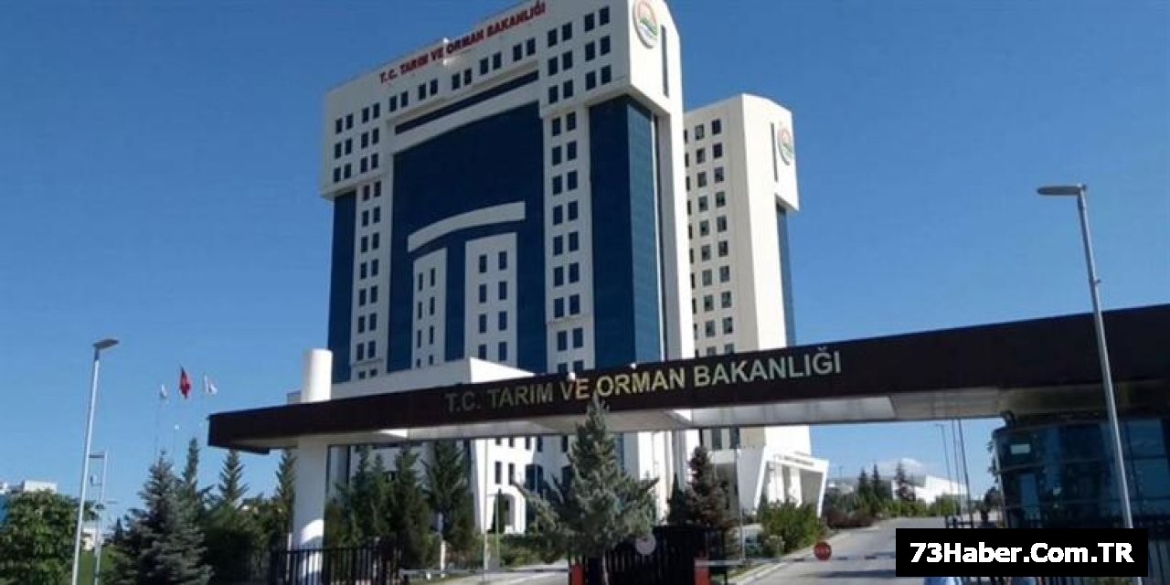 Tarım ve Orman Bakanlığı 92 Kişi Arıyor!