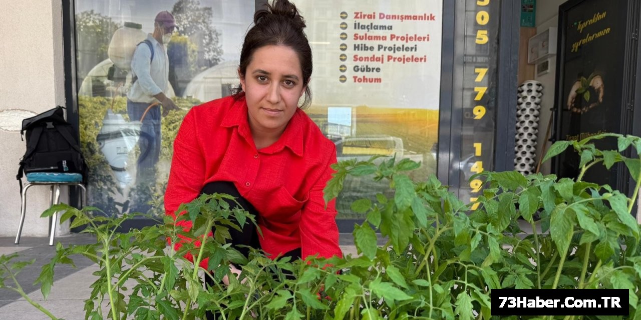 Şırnak Fide Sezonu Uyarılarla Başladı