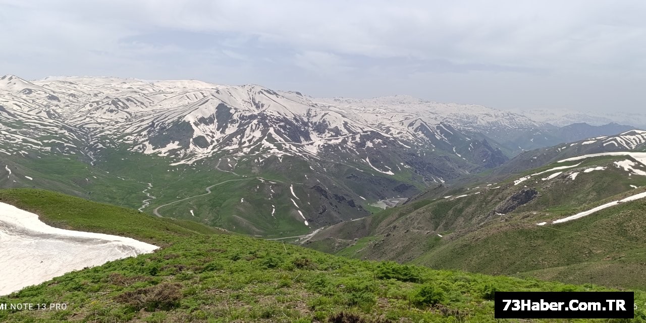Şırnak'ta Yaylalara Gidiş Englendi
