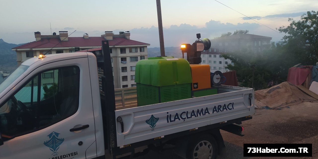 Şırnak'ta Haşere Savaşı