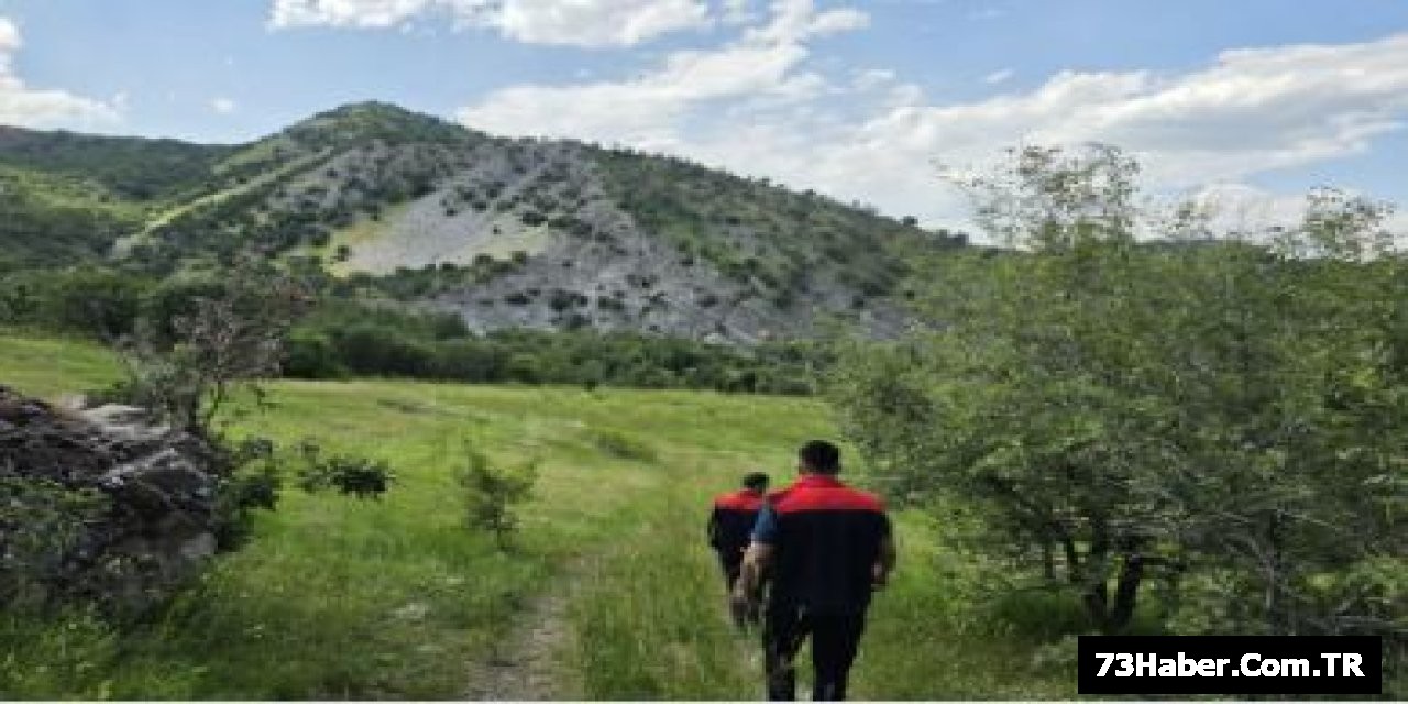 Şırnak'ta Çekirge Tehlikesi
