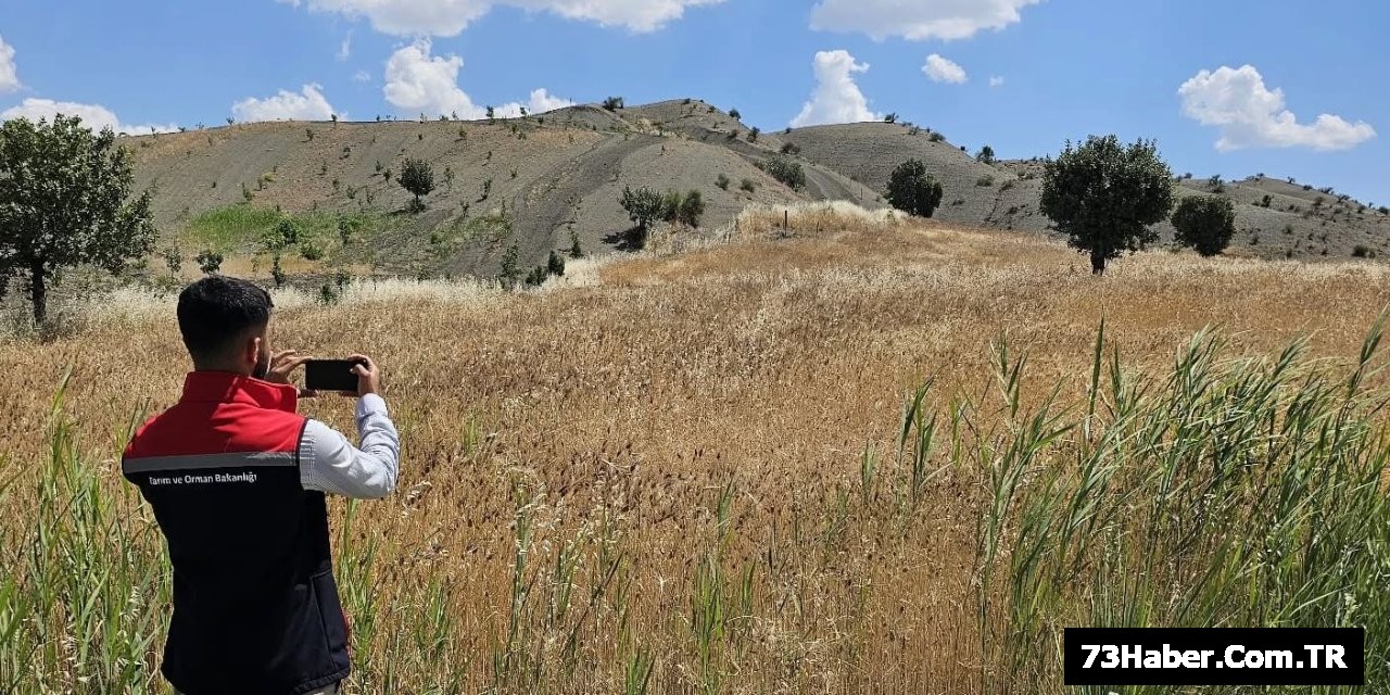 Şırnak'ta Tarım Üretimi Canlanıyor