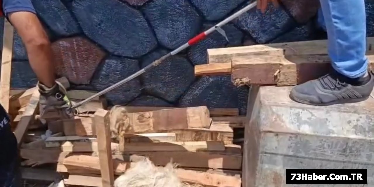 Şırnak'ta Yılandan Daha Büyük Tehlike
