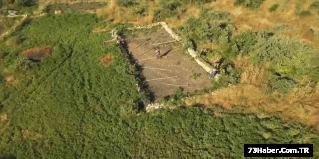 Şırnak'ta Büyük Kenevir Operasyonu