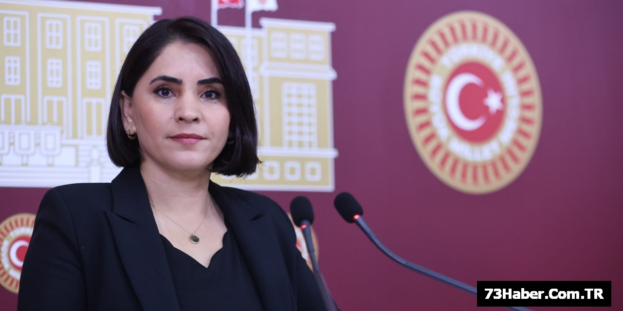 21 Yıl Süren Cizre-Silopi Yoluna Tepki