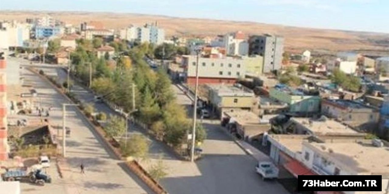 Şırnakta atıl durumda bulunan araziler tarımsal üretime kazandırılmaya çalışılıyor