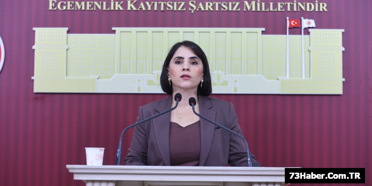 Uludere'de Sağlık Krizi