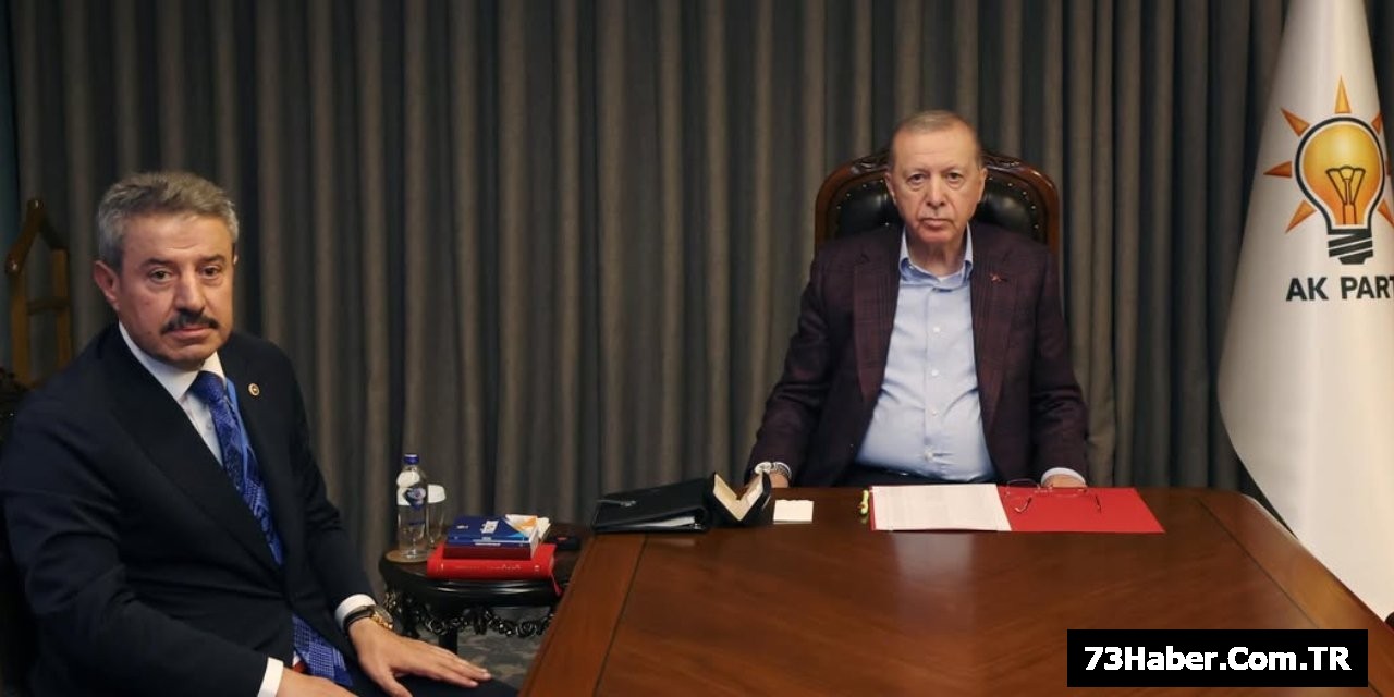 Erdoğan'a Şırnak-Van Yolu Raporu
