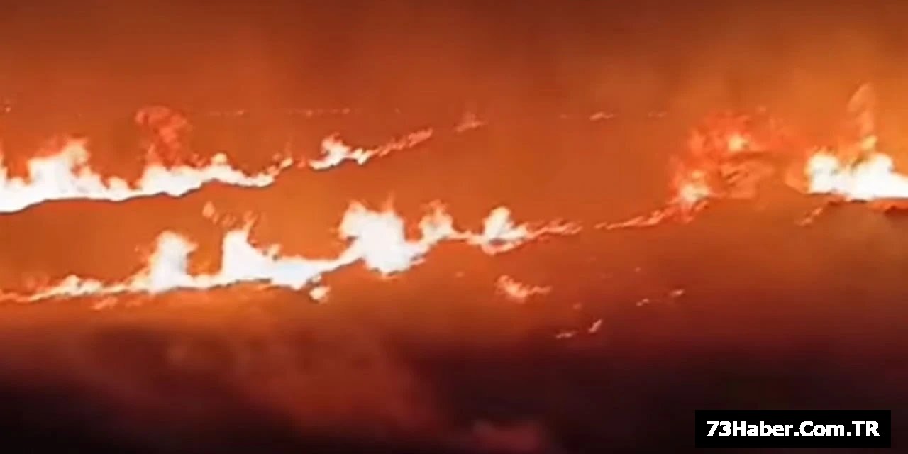 Silopi'de Anız Alevleri!