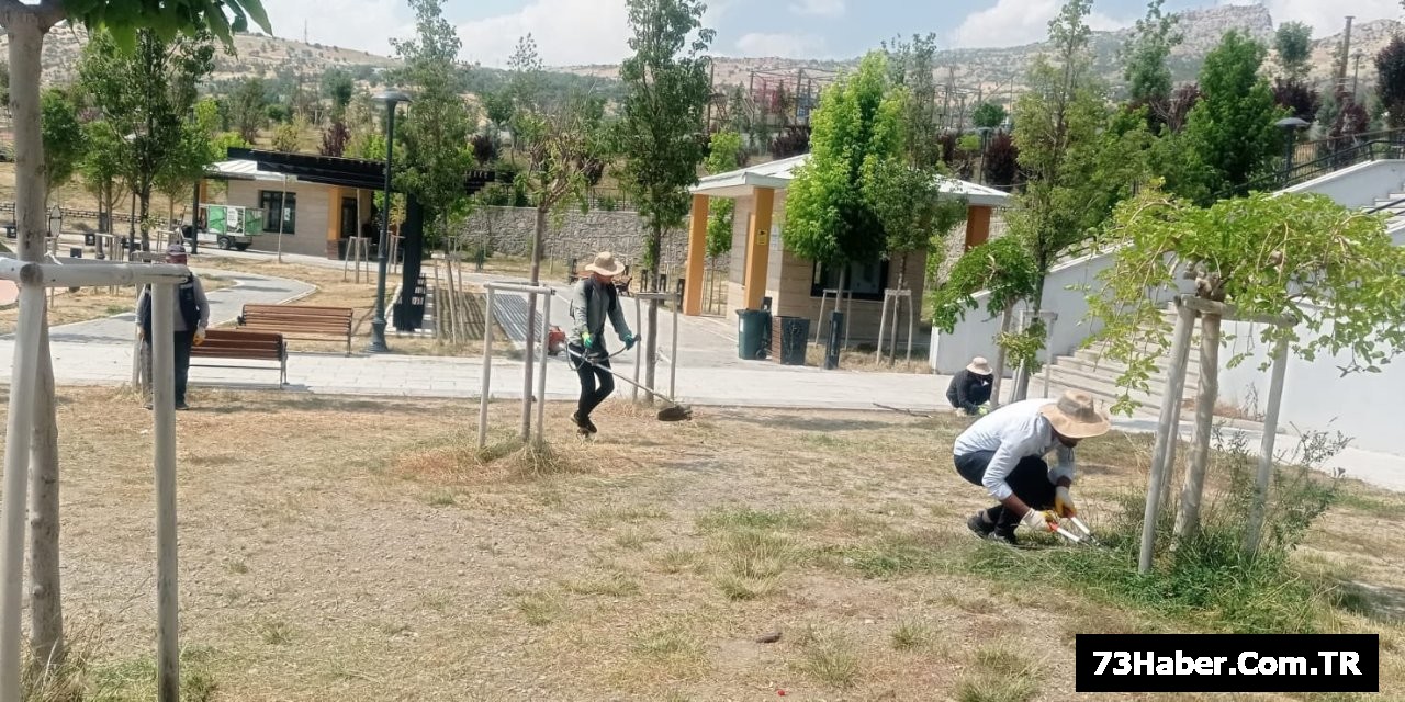 Şırnak'ta Yeşil Devrim