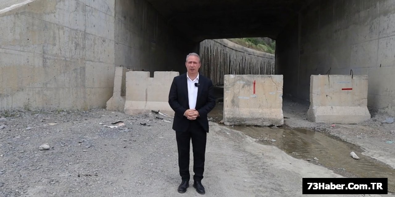 Şırnak-Van Yolu 2 Yılı Diriliyor Mu?