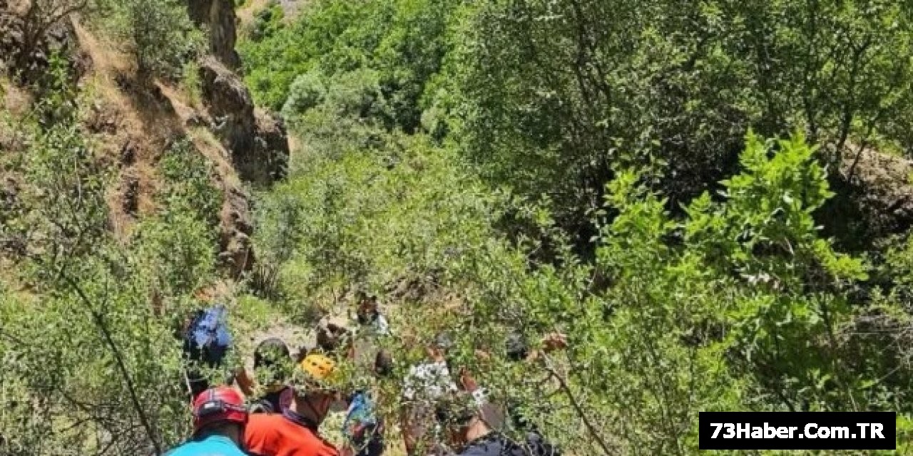 Şırnak'ta Kayalıklardan Düşen Vatandaş Kurtarıldı