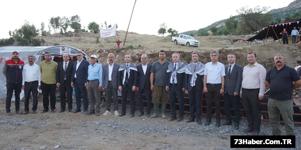 Şırnak'ta 600 Bin Hayvan Sağlık Kontrolünden Geçti
