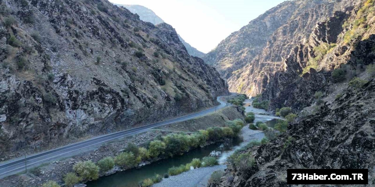 Şırnak'ta Arama Operasyonu
