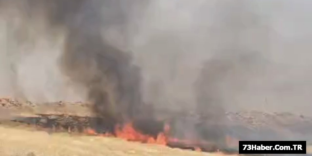 Şırnak'ta Ziraat Fakültesinde Büyük Yangın