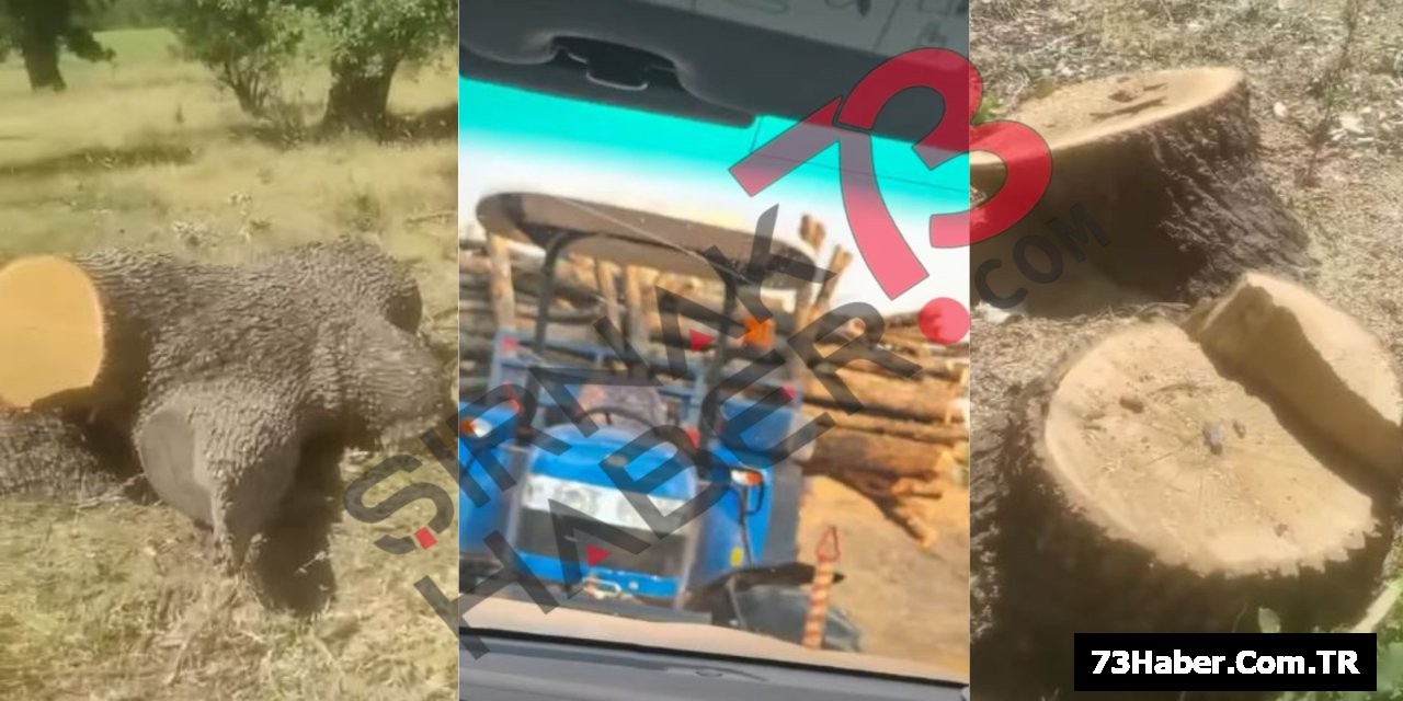 Şırnak'ta Yeni Olay: Açıklama Bekleniyor