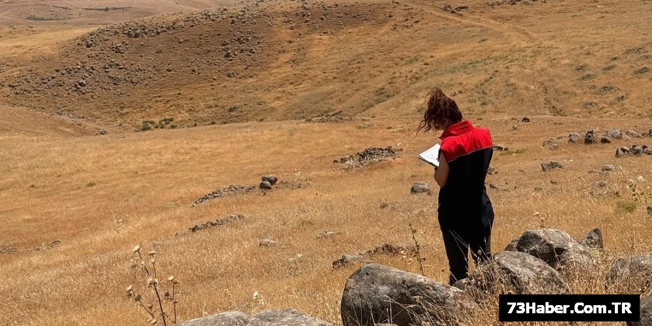 Şırnak'ta Mera Denetimi