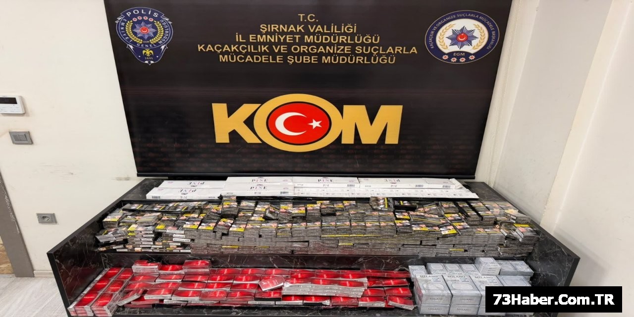 Şırnak'ta Uyuşturucu Operasyonları: 31 Şüpheli Tutuklandı