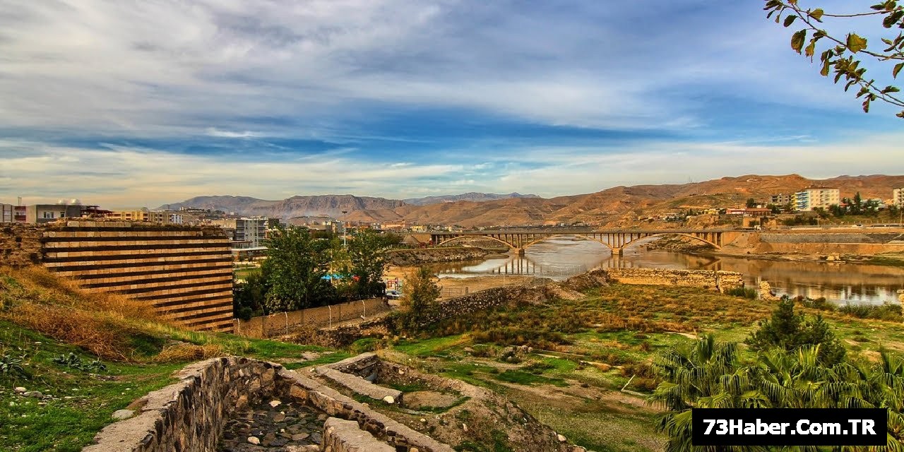 Cizre Dünya Sahnesine Çıkıyor!