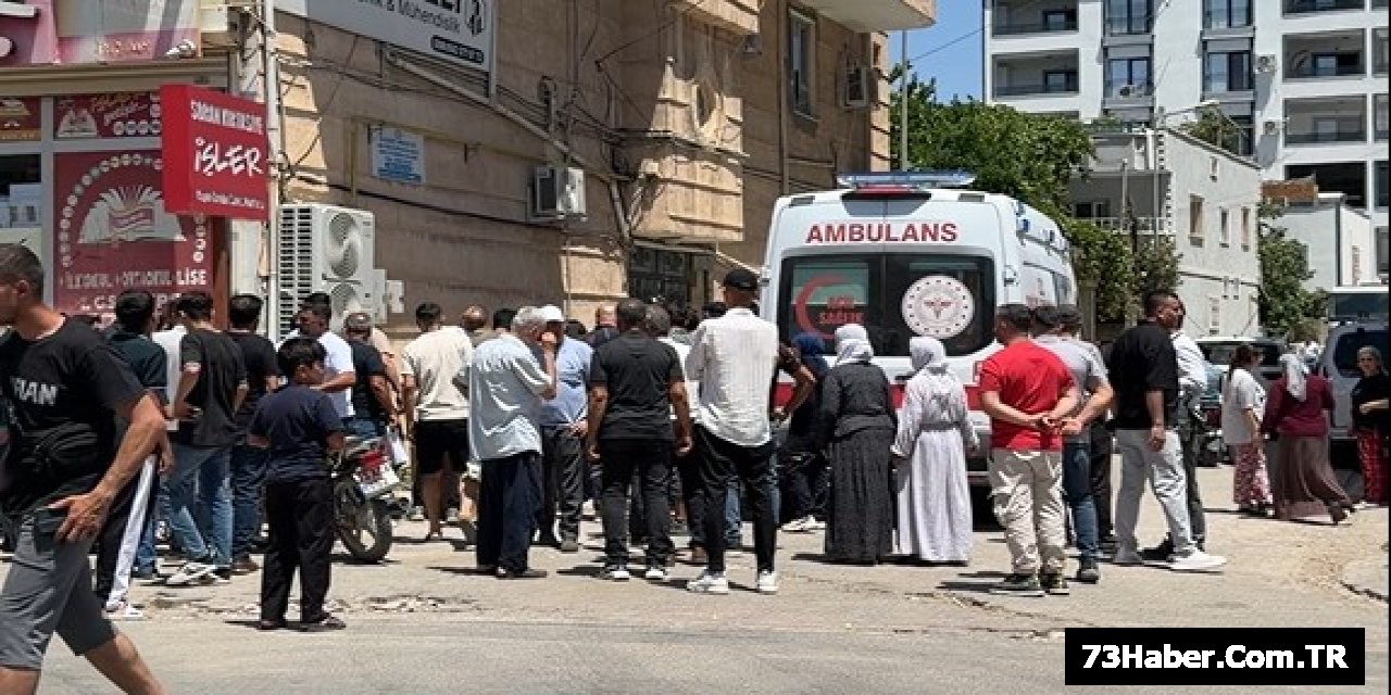 İdil'de Şok Ölüm