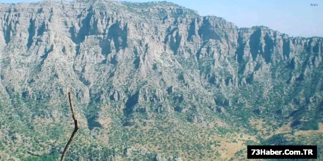 Şırnak'ta Mahsur Kalan 2 Kişi için Kurtarma