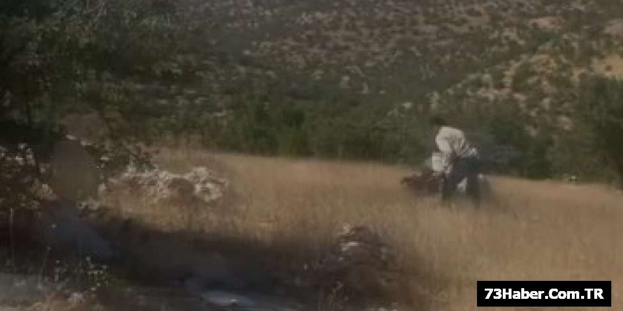 Doğayı Temizleme Günü