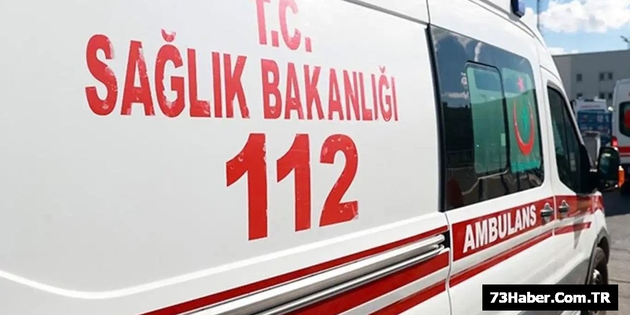 Silopi'de TIR Faciası: Kolu Koptu