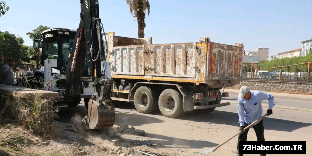 Cizre'de Büyük Dönüşüm