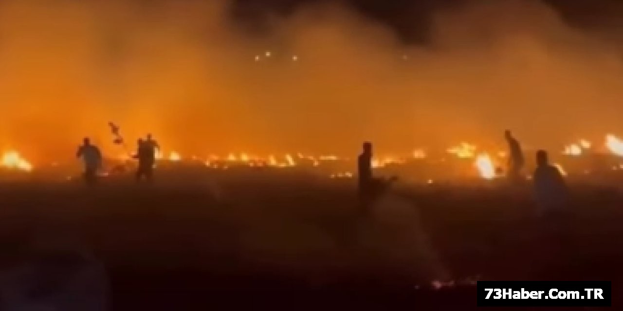 Cizre'de Alevler Yayıldı!