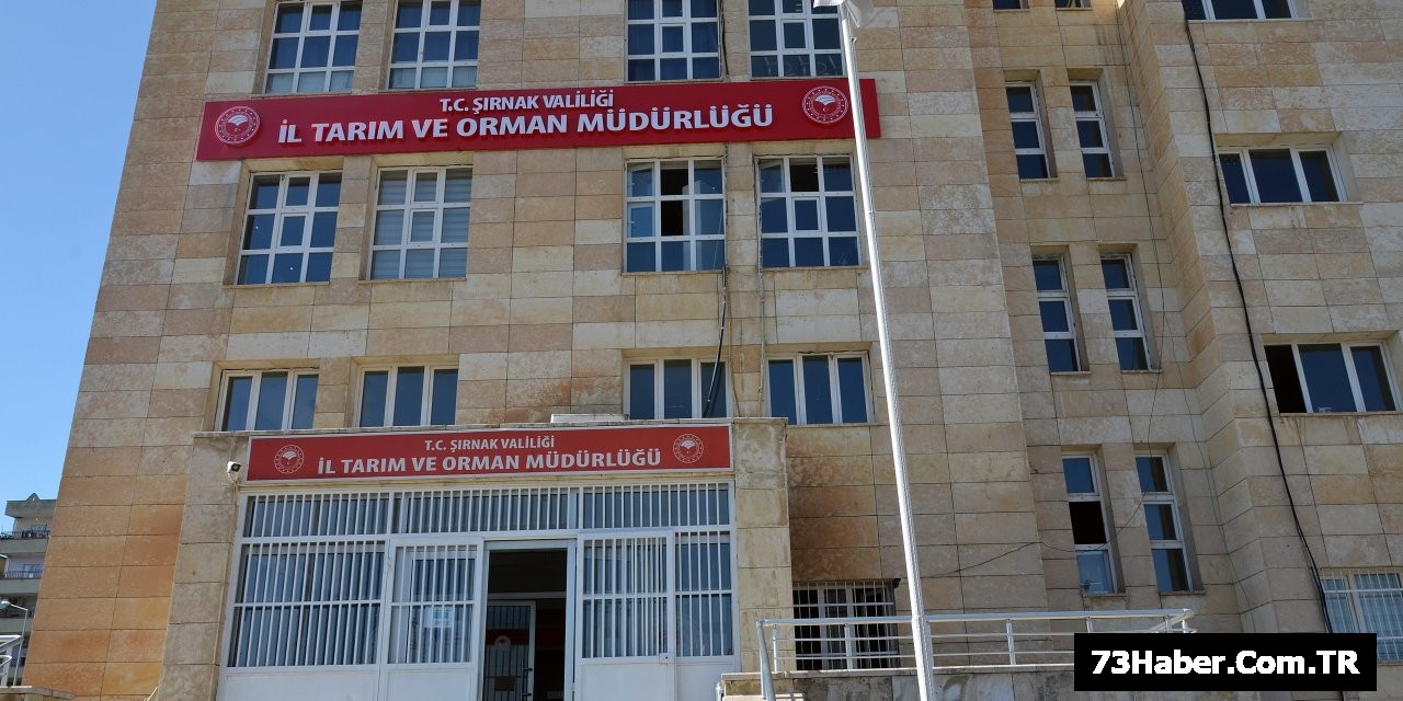 Şırnak'a %50 Hibe Müjdesi!