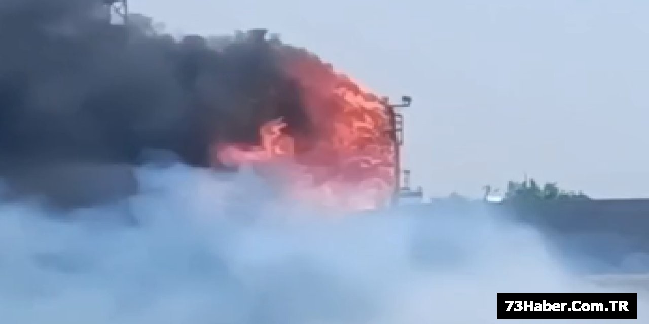 Cizre'de Otobüs Alevlere Kuştur!