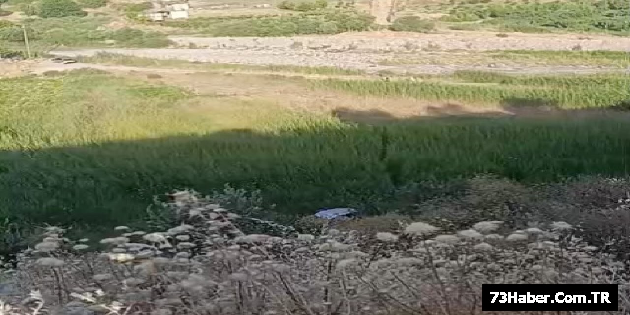 Şarampole Yuvarlanma: 5 Yaralı