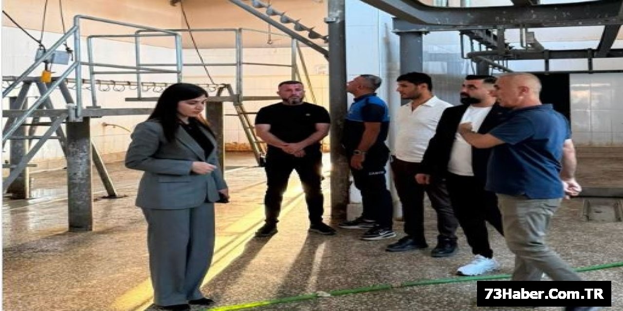 Ormanlı'dan Mezbahane İncelemesi