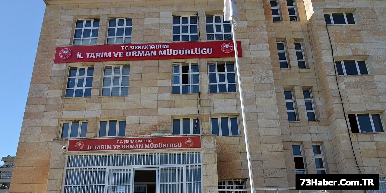 Şırnak'ta 54 Personel Alımı