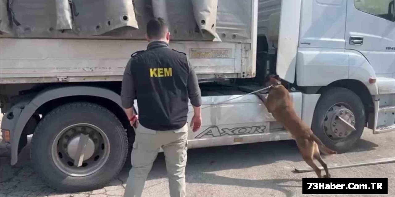 Şırnak'ta 79 Kilo Esrar Ele Geçirildi