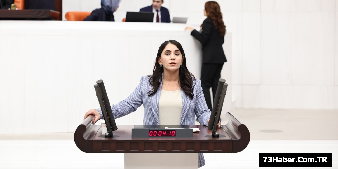 Dem Parti'den Çocuk Bakanlığı teklifi!
