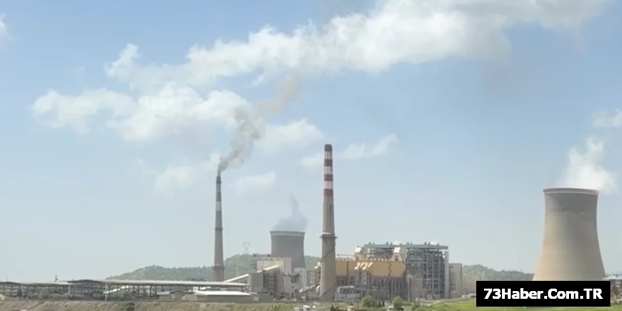 "Şırnak'a Termik Santral Değil, Yeşil Gelecek İstiyoruz!"